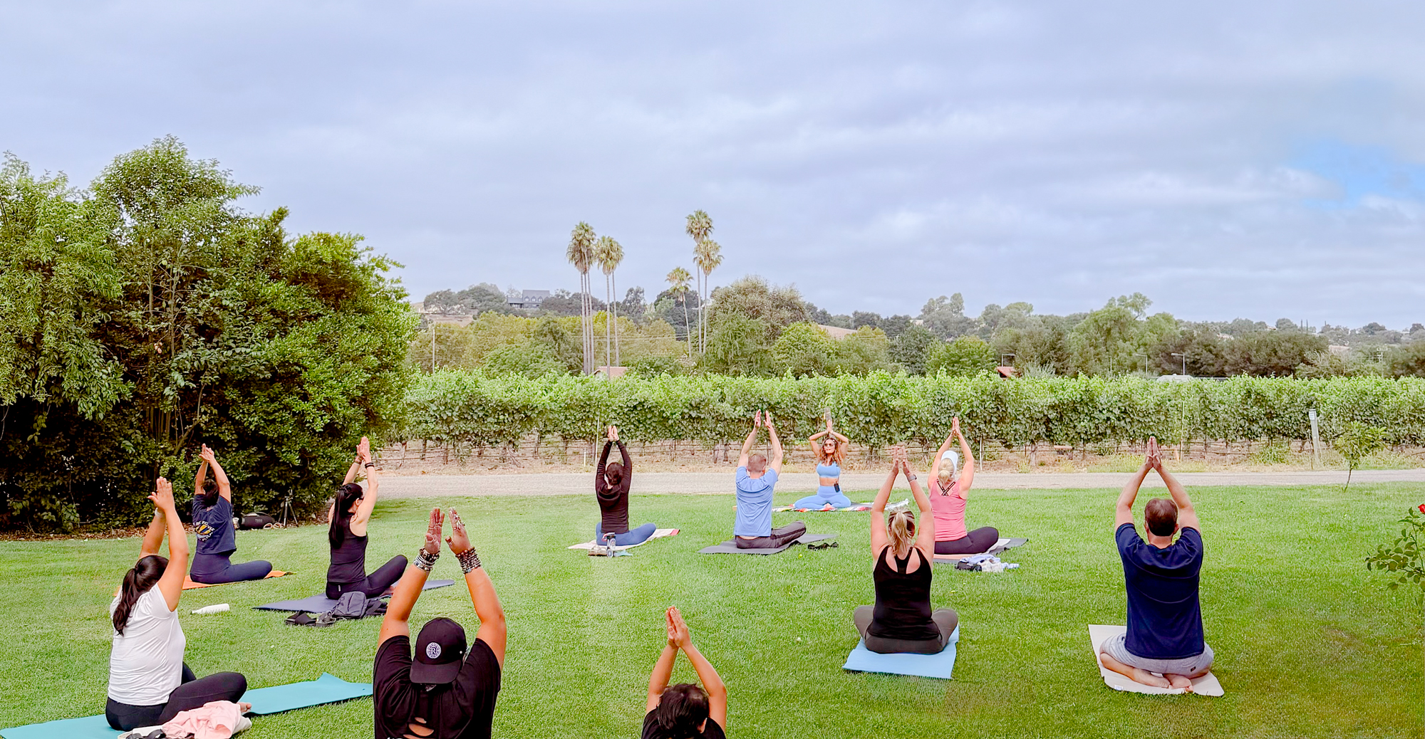 Yoga in the vineyard during National Relaxation Day at Rideau Vineyard